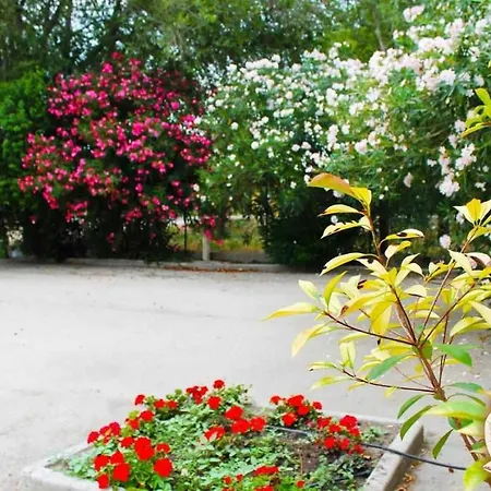 Le Anfore Di Arpi Feriegård *