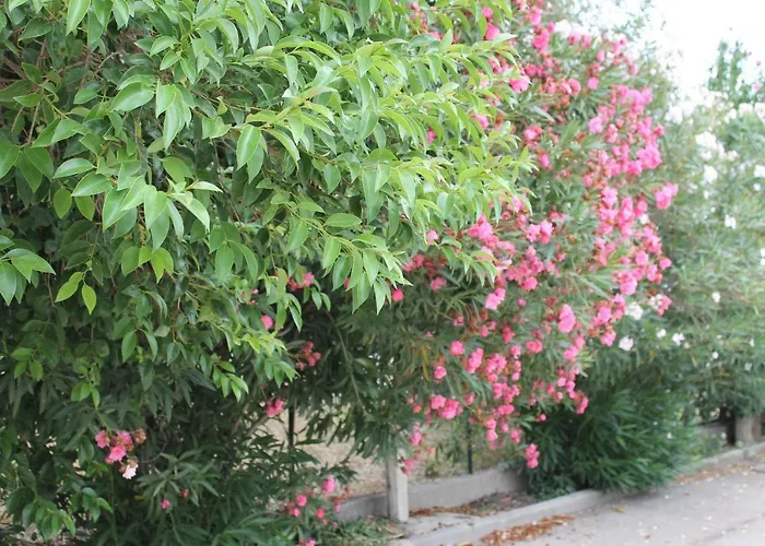 Alloggio per agriturismo Le Anfore Di Arpi Foggia